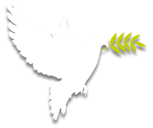 Flag Peace Day Newsletter January 2018