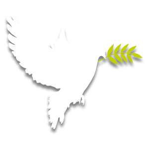 Flag Peace Day Newsletter January 2018